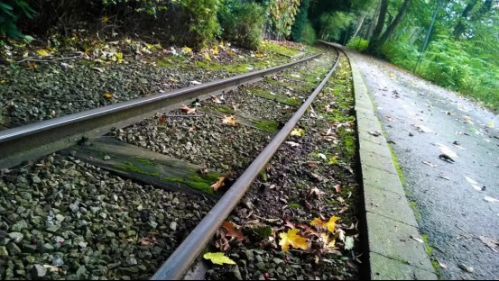 夏日小径-摄于德国多特蒙德